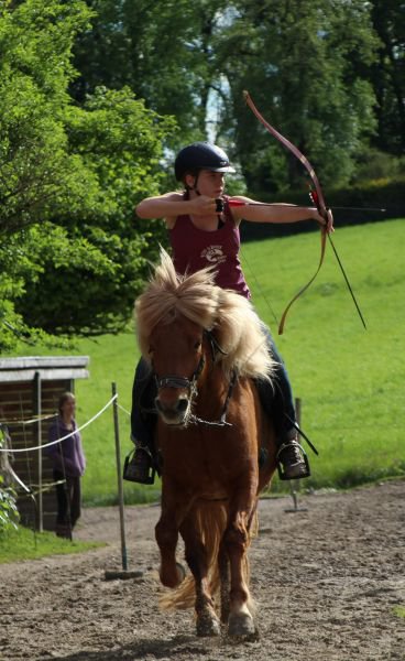 Ida (ausgebildetes Leihpferd)