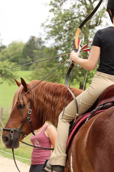 Hiro (ausgebildetes Leihpferd)