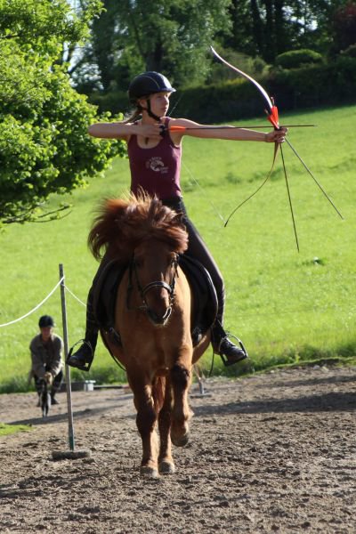 Eldur (ausgebildetes Leihpferd)