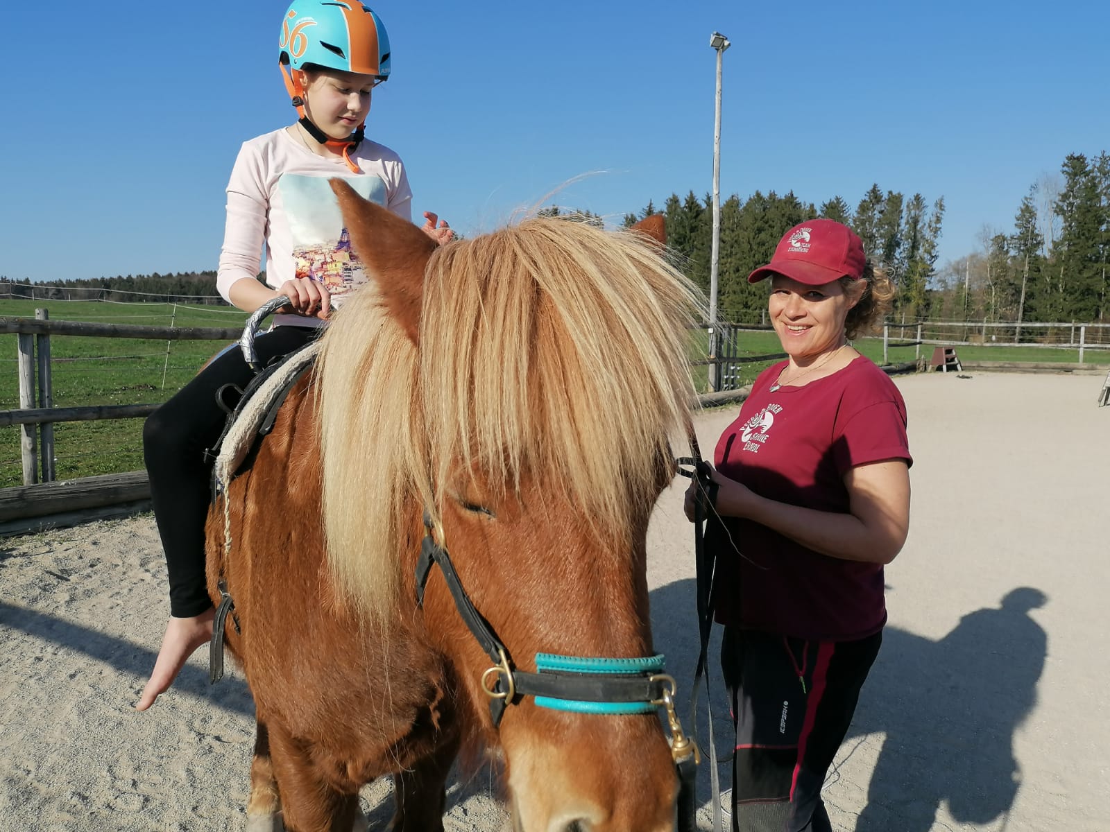 pony-kids-reiten-lernen-mit-voltigier-bungen-f-r-kinder-ab-6-jahre